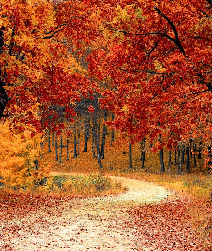 Silnejšie kosti aj v pracovnom tempe: kedy siahnuť po Vápniku z mora